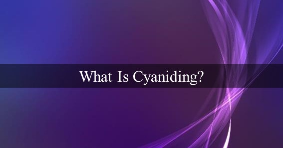 What Is Cyaniding